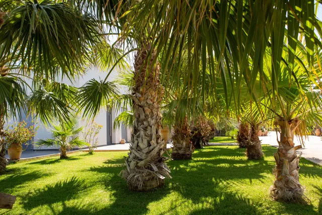 Opsis Regen Living Anissaras