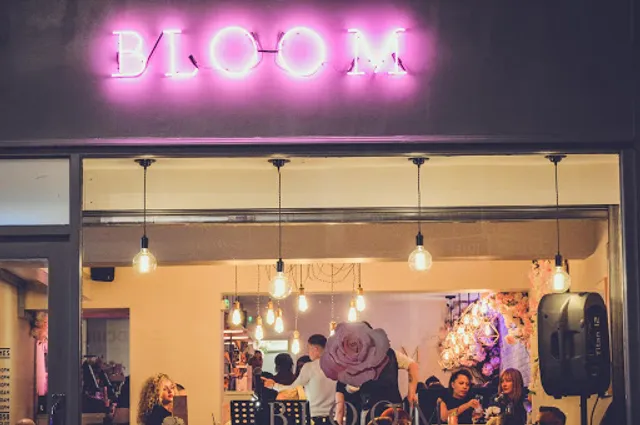 The Strangled Cat Hanley