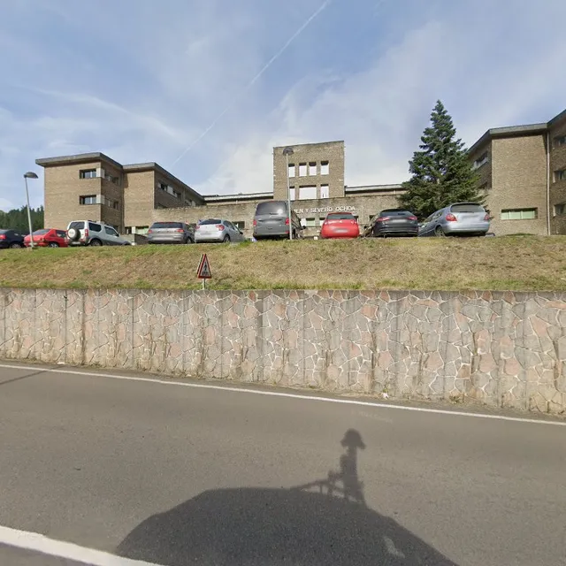 Public Hospital Carmen and Severo Ochoa