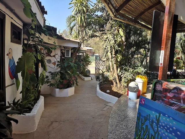 Pura Vida Hostel