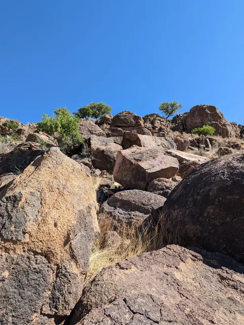 Chihuahuan Desert Outside Loop Trail