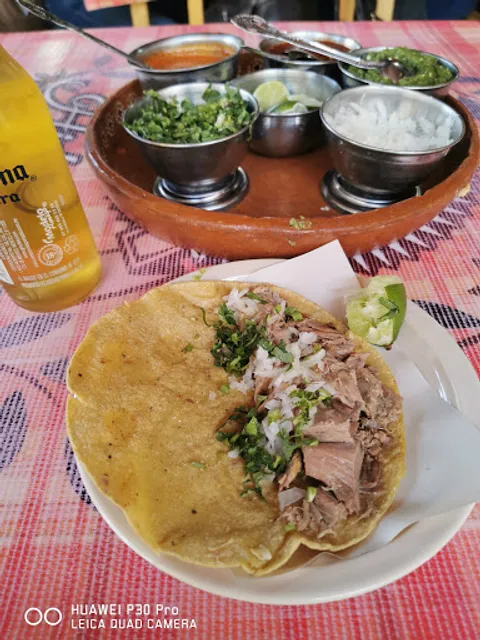 El Borrego Hidalguense
