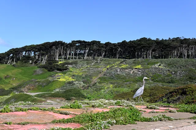 Golden Gate National Parks Conservancy
