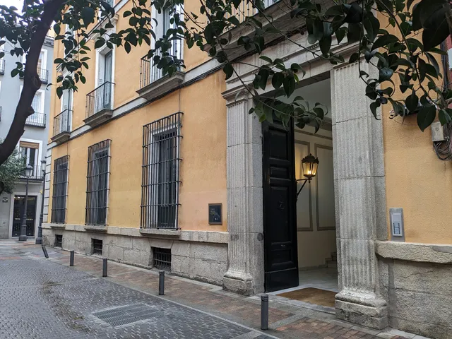 Galería Leandro Navarro