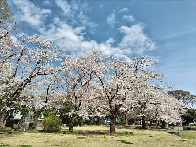 Shiroyama Park