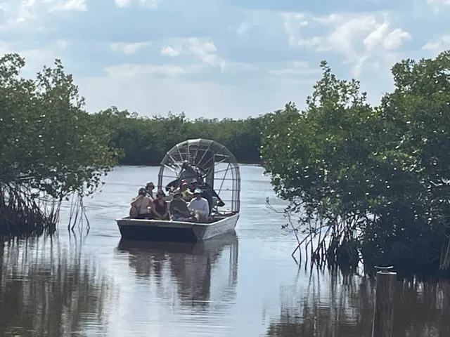 Jungle Erv's Airboat Tours (Mangrove Maze)