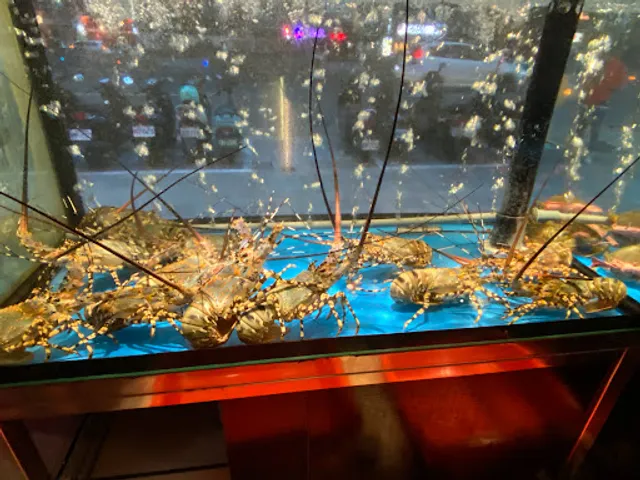 自然風精品料理 Shabu Shabu