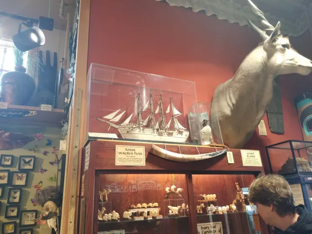 Ye Olde Curiosity Shop