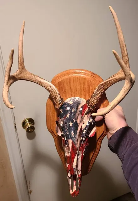 Misty Mountain Taxidermy