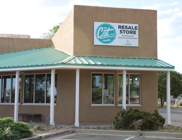 The Cat on Camino Entrada