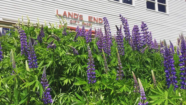 Land's End Gift Shop