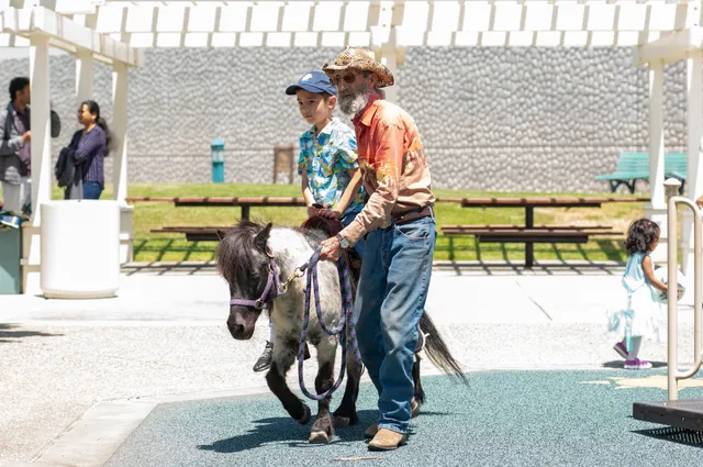 Most Unique Parties and Ponies