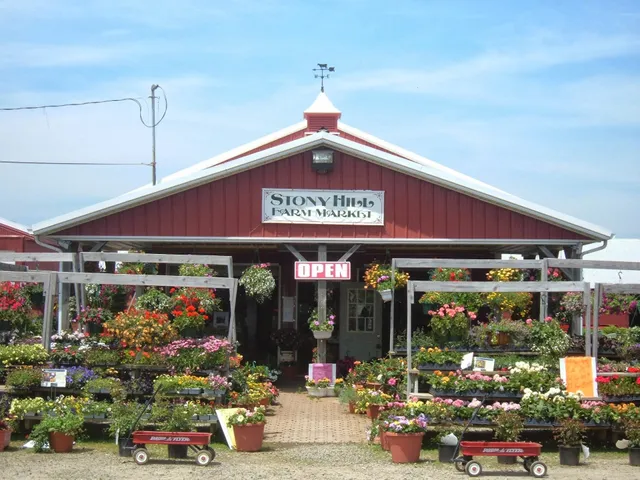 Stony Hill Farm Market