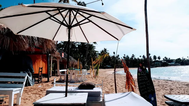 Zu Ceviche and Grill by Alex