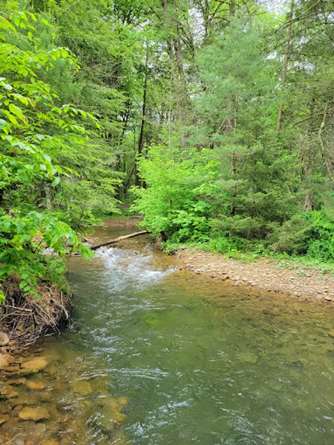 Hyner Run State Park