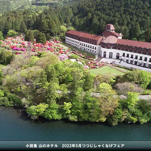 Odakyu Hotel de Yama