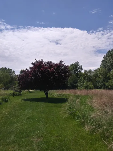 Wheelabrator Wildlife Refuge and Butterfly Garden