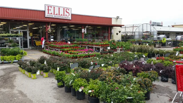 Ellis Home & Garden