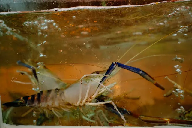 Ẩm thực Mộc Thiên