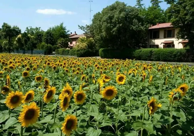 Elena Paternoster - Appartamento uso turistico