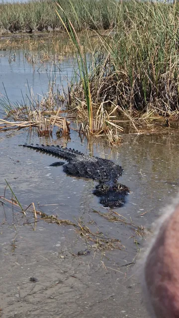 Epic Airboat Tours