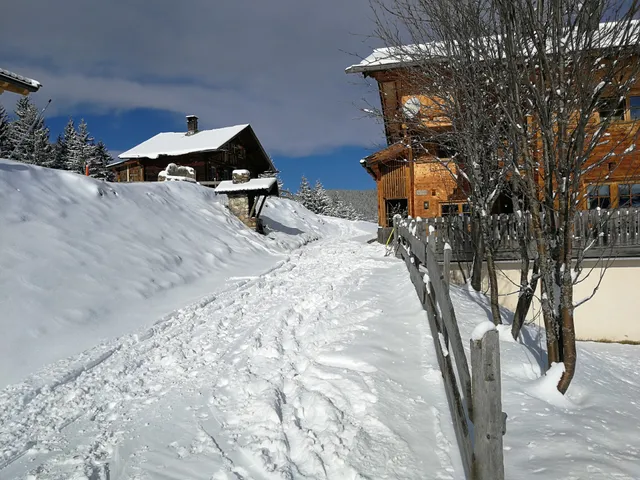 Hohlriederalmhütten