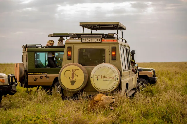 Kiliclimb Africa safaris-Tanzania luxury Safaris Expert &Trekking