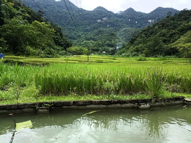 Huan Phuong Homestay