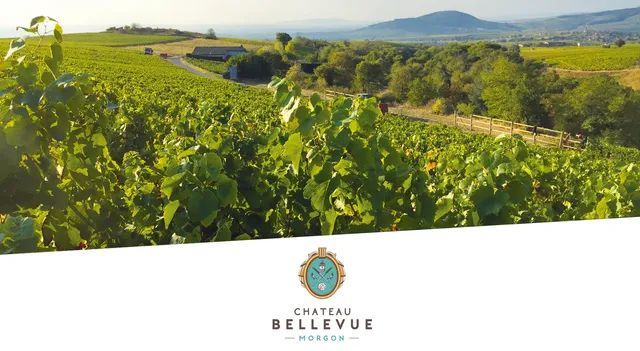 Château Bellevue - Domaines Loron : domaine viticole et chambre d'hôtes