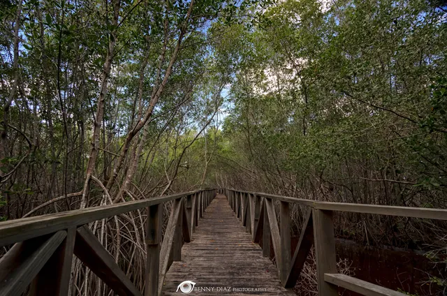 Refugio de Aves Cabo Rojo