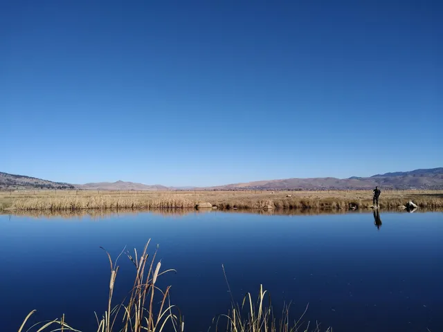 Wilson Common Park Pond