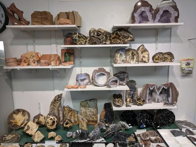 The Bug House rock shop