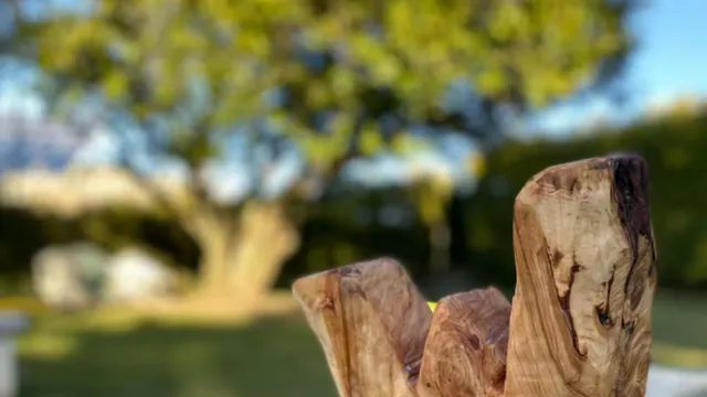 Apartamentos Wambalore 🏡🌳