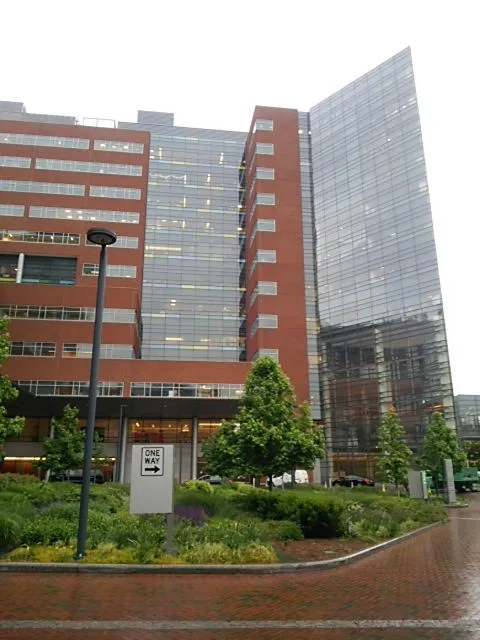 The Johns Hopkins Hospital