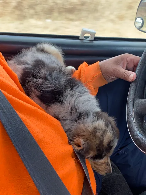 Grand Lake Smoke Shop