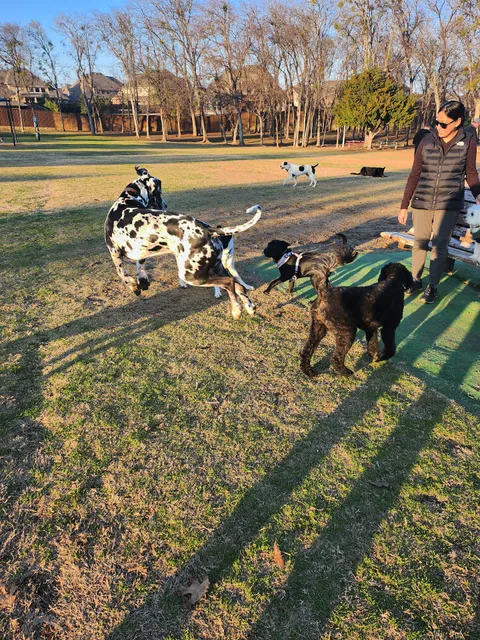 Freedom Dog Park