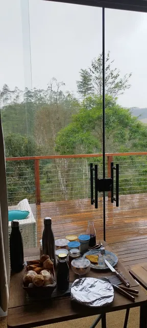 Meu Limão Meu Limoeiro