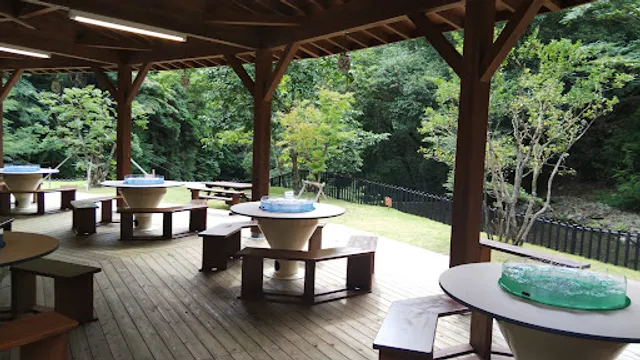 そうめん流し大野庵