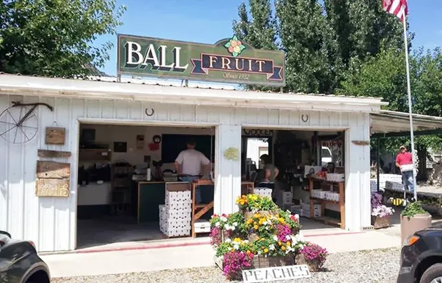 Ball Fruit