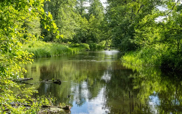 Agrousad'ba Khutor Komarishki