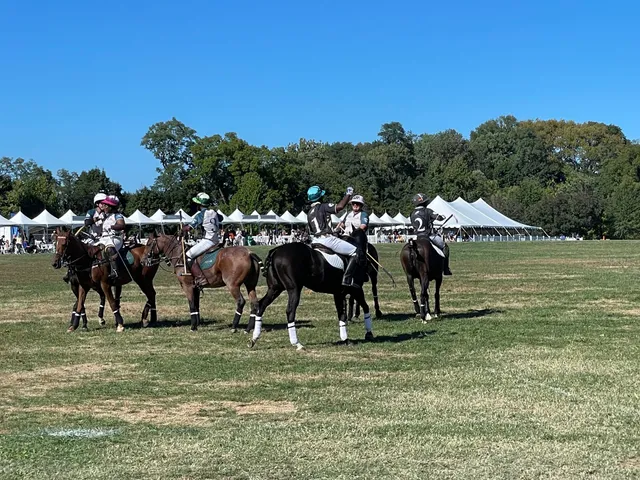Fairmount Park Ball Fields