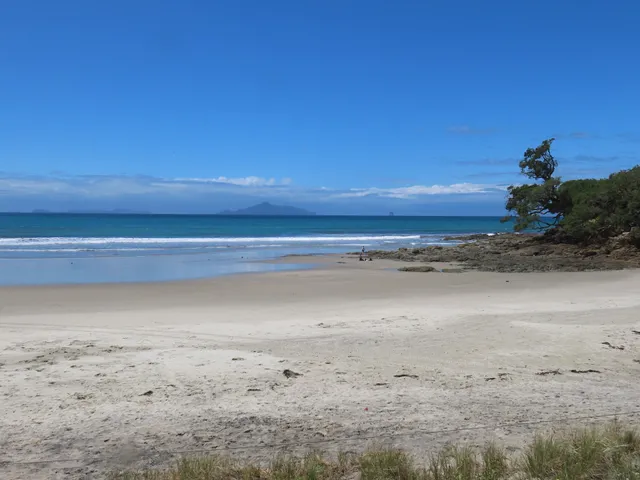 Waipu Beach