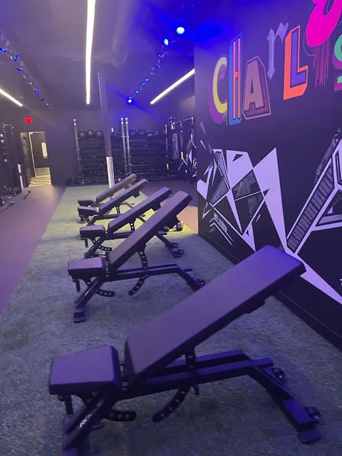 MYSTRYDE Charlestown