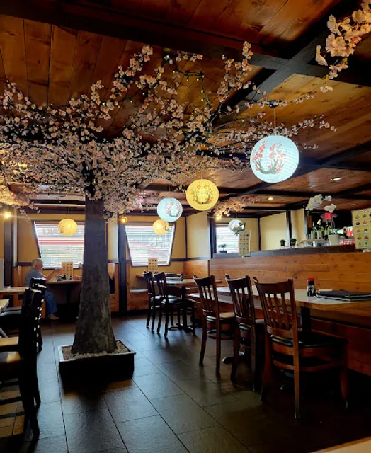 Sushi Sakura