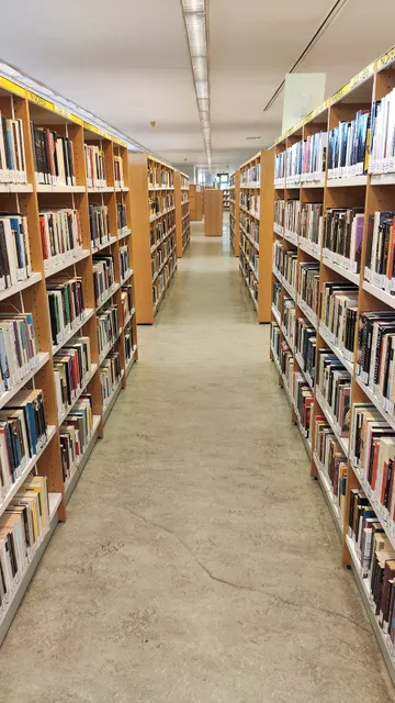 Public Library ANTONIO MINGOTE