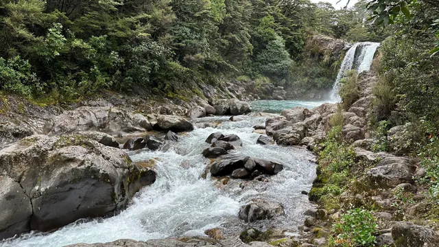 Tawhai Falls Walk