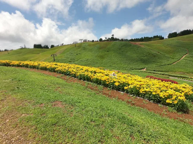 Hakodateyamakokia Park