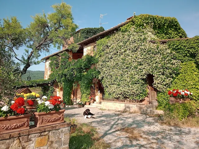 Azienda Agricola Rendola Riding