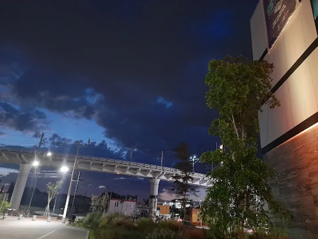 Black Coffee Gallery CISZ