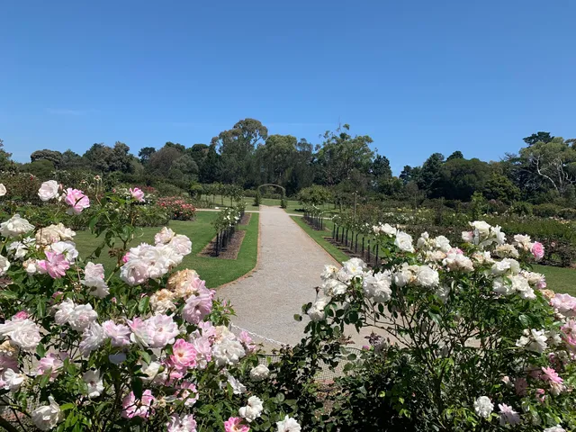 Rose Garden